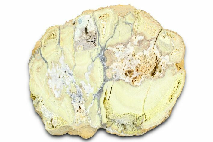 Clay Canyon Crandallite and Wardite - Old Collection Stock #362028